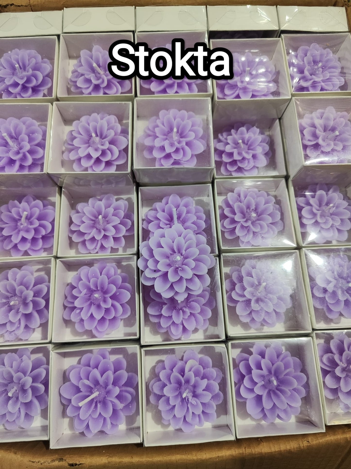 Kutulu Lotus Mum