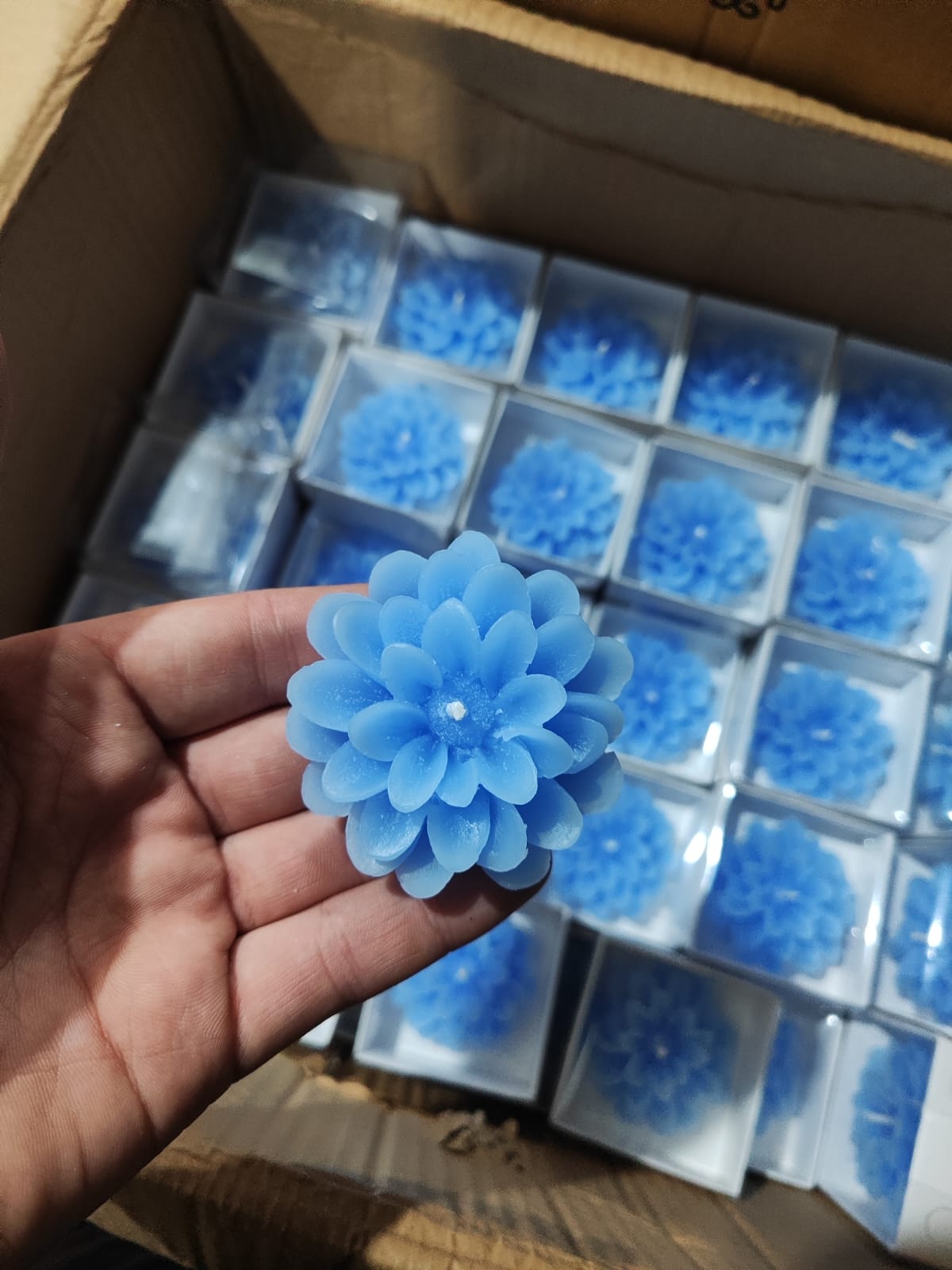 Kutulu Lotus Mum
