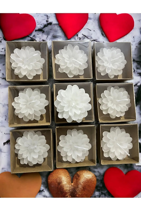 Kutulu Lotus Mum