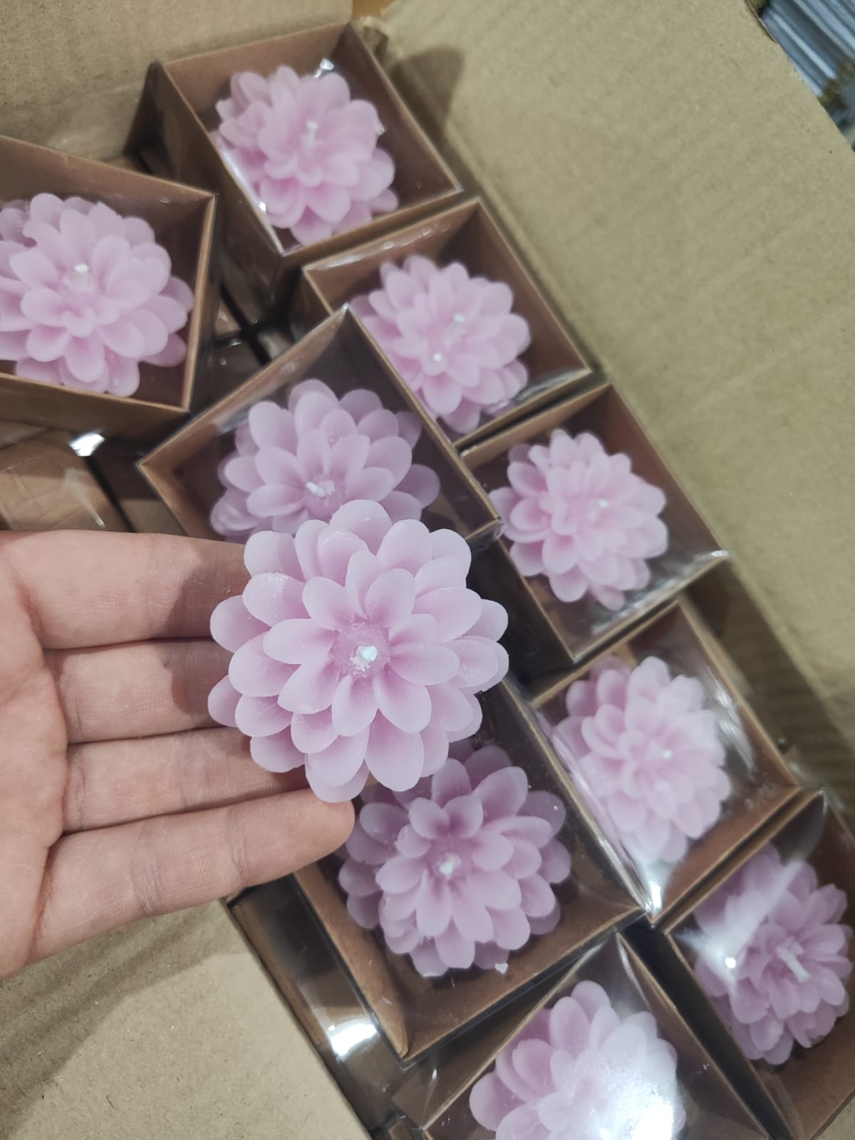 Kutulu Lotus Mum