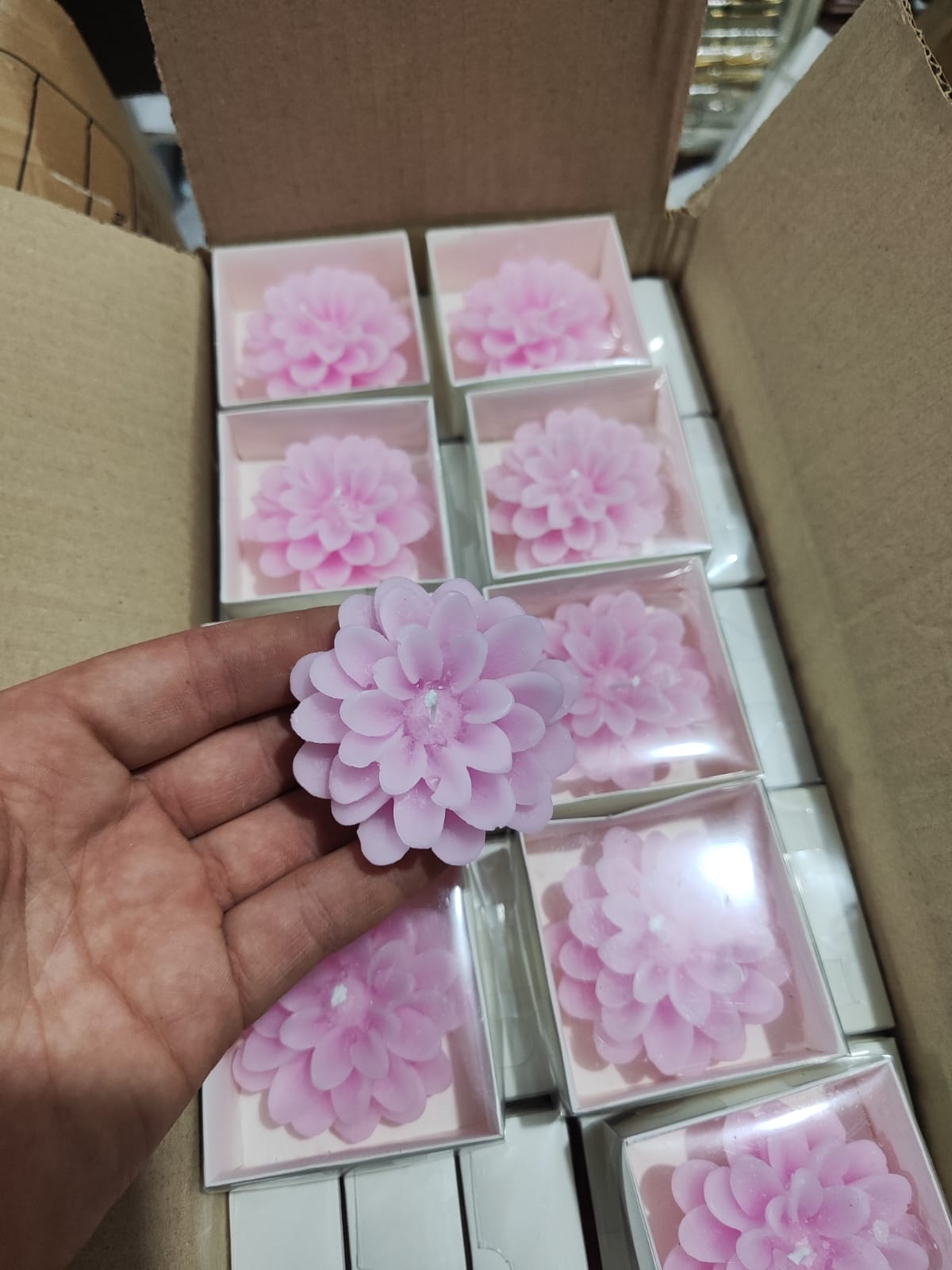 Kutulu Lotus Mum